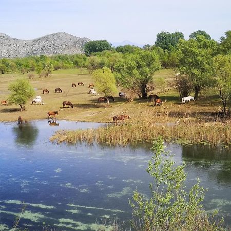 Wild Beauty House Skadar Lake Cetinje Eksteriør billede