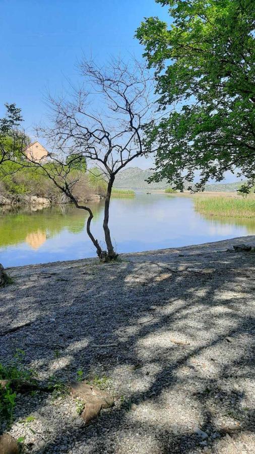 Wild Beauty House Skadar Lake Cetinje Eksteriør billede