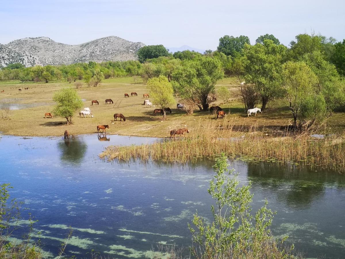 Wild Beauty House Skadar Lake Cetinje Eksteriør billede